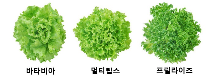 수경청과 이미지