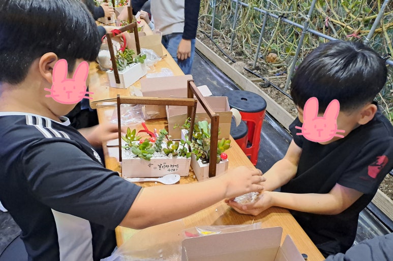 꽃길다육 이미지