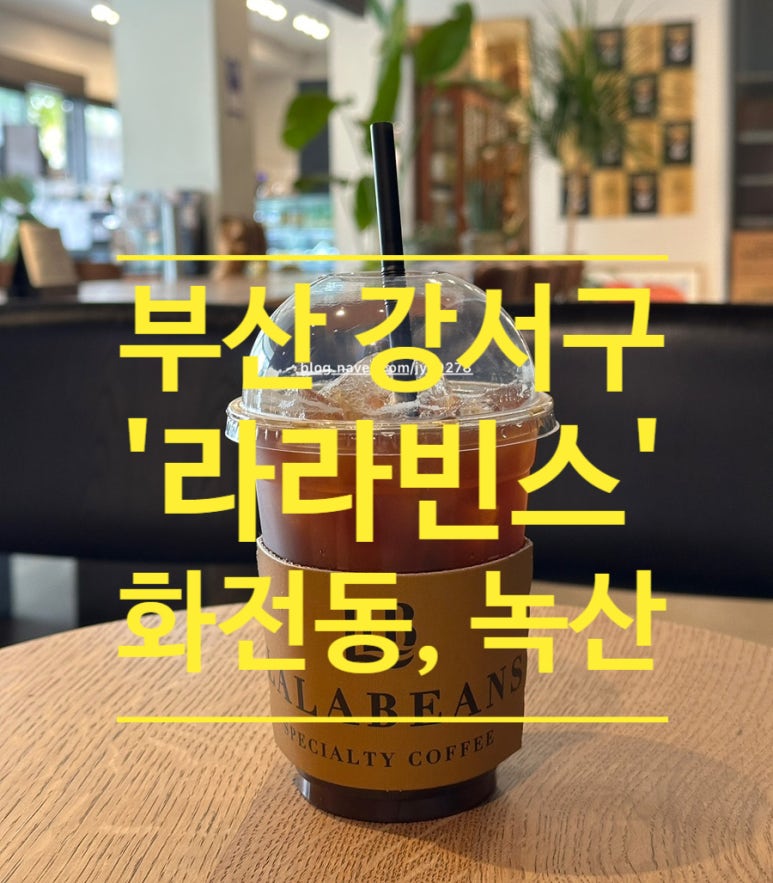 라라빈스 이미지