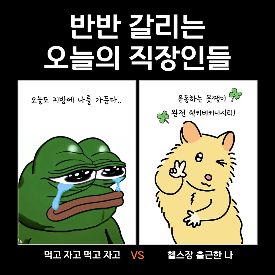 피티일프로 이미지