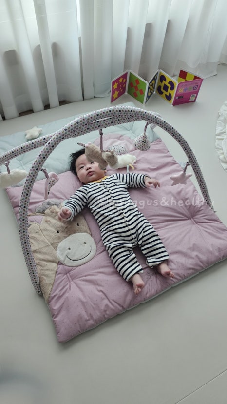 슈테른탈러 이미지