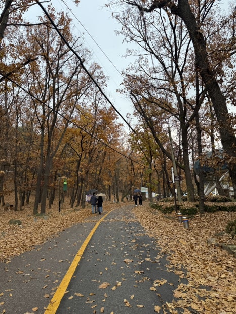 백종원의쌈밥 안양비산점 이미지