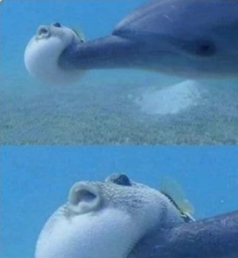 강변복집 이미지