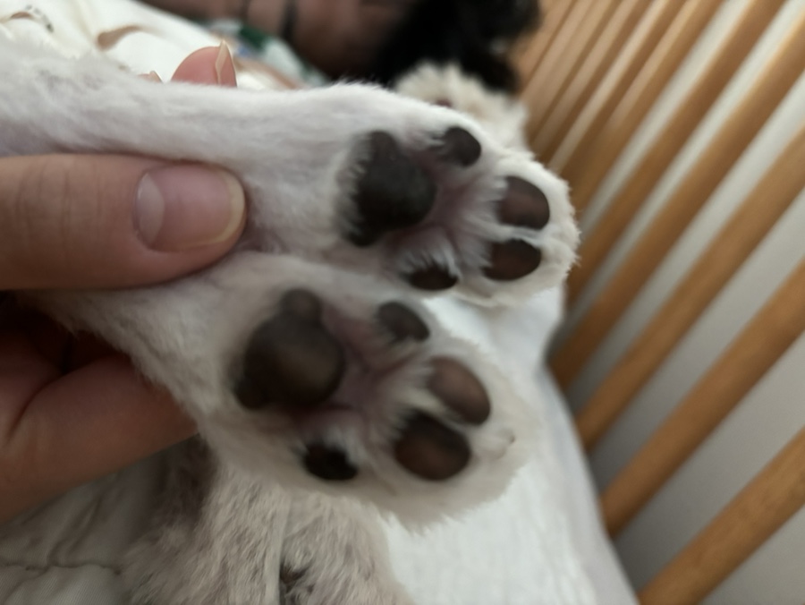 통영서광수산 이미지