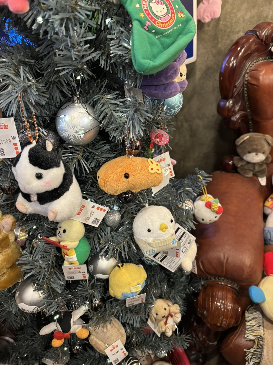 화르곰 이미지