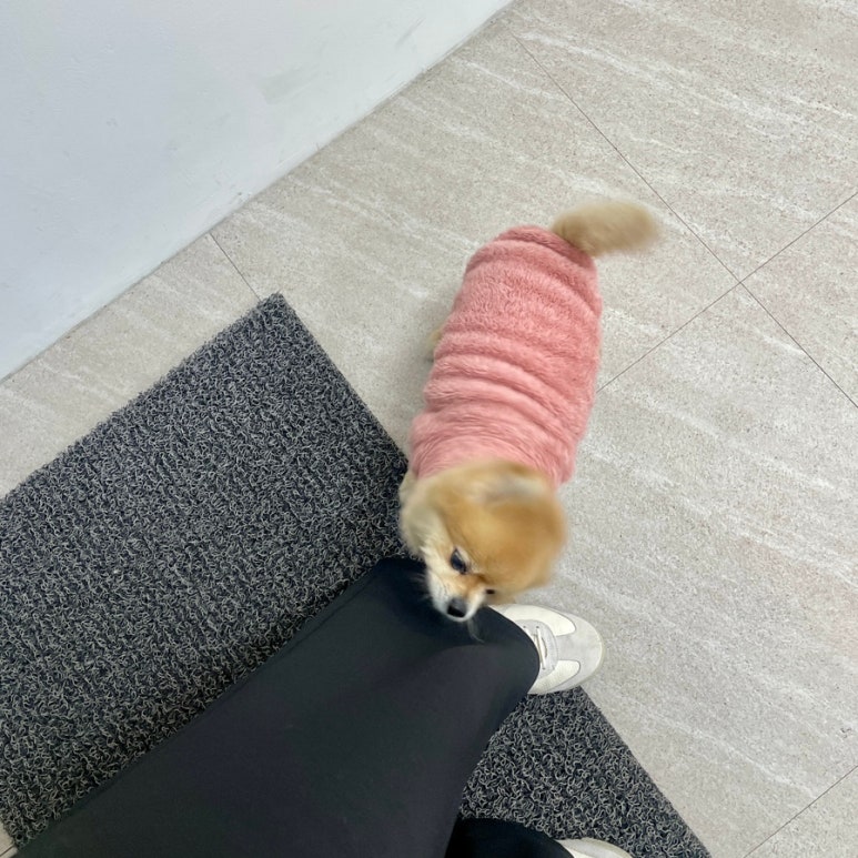 네일 다브 이미지