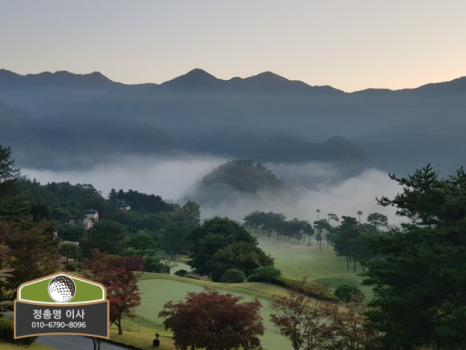 메디칼 밸리 이미지
