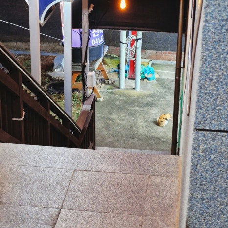 페리카나만리포점 이미지