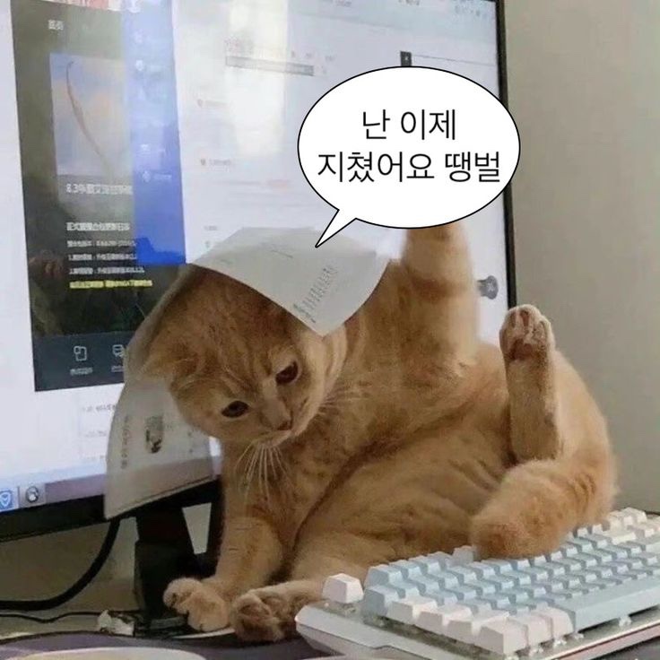 SD광고기획 이미지