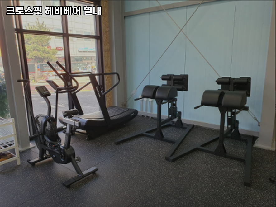 크로스핏베어 이미지
