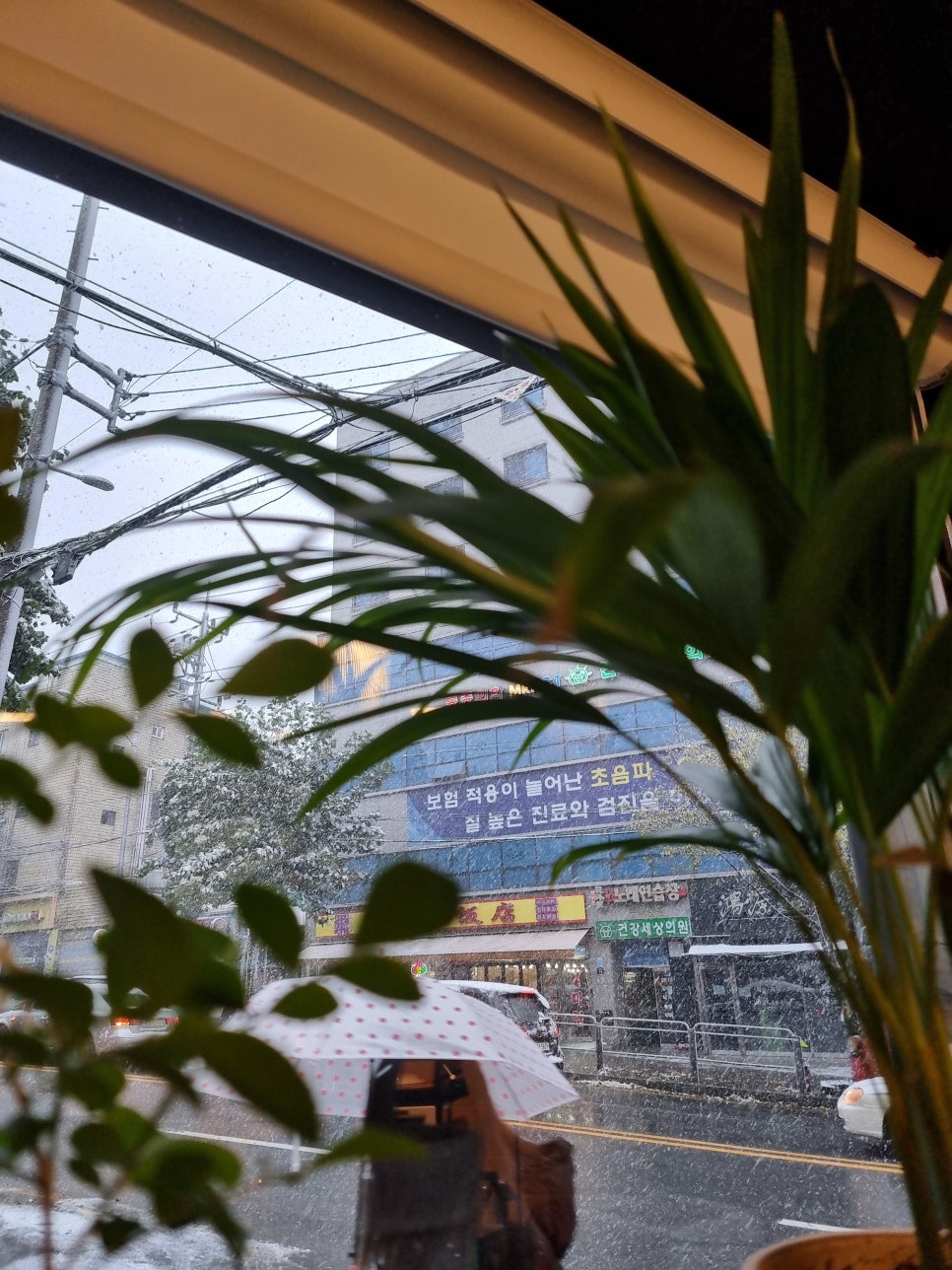 컴포즈커피 구로4동점 이미지