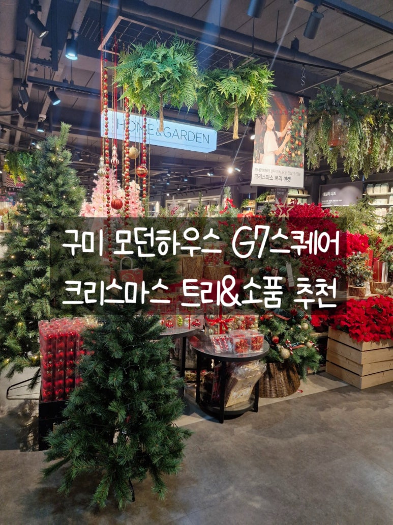 모던구미G7 이미지