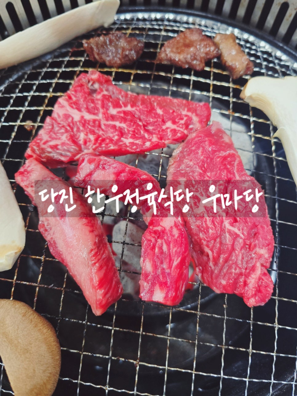 우마당 이미지