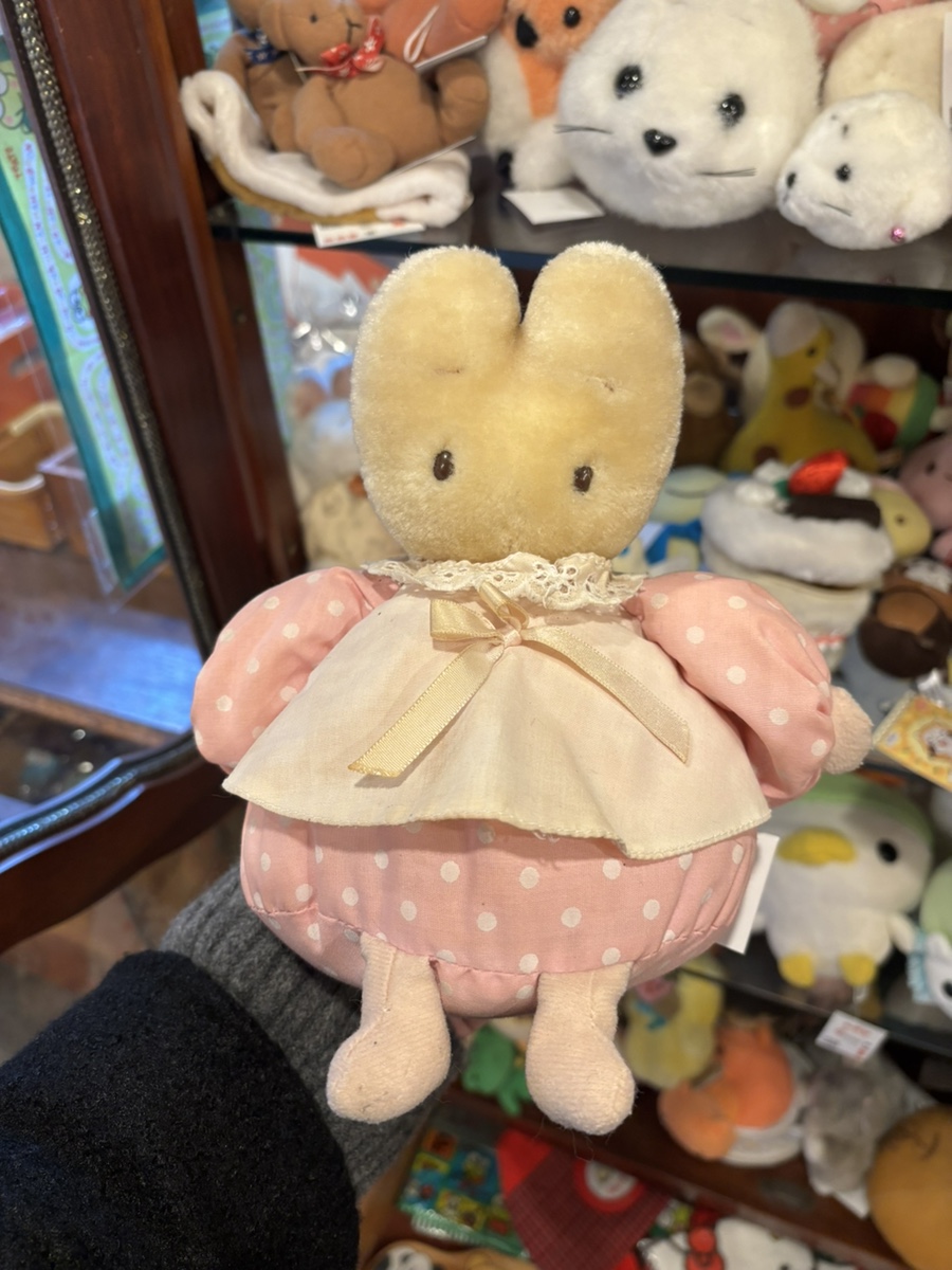 화르곰 이미지