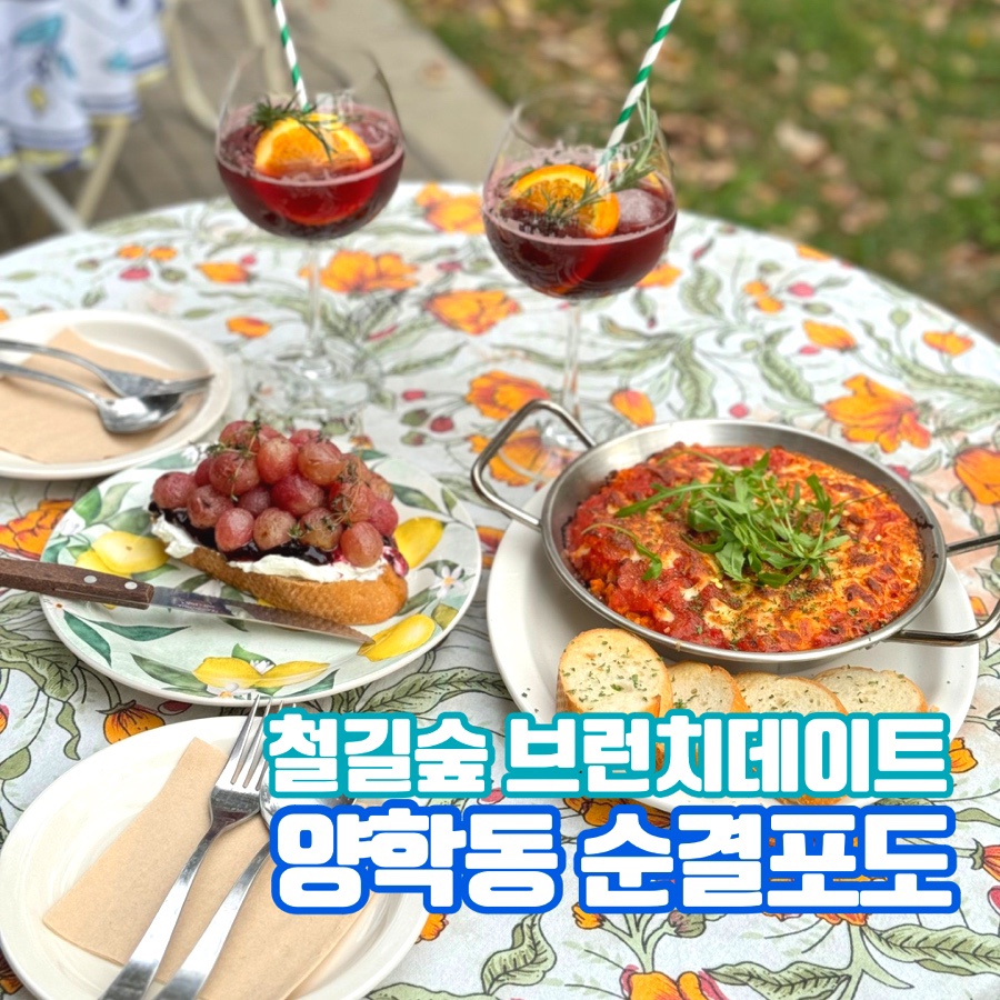 순결포도 이미지