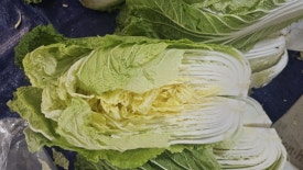 홈쇼핑DC마트 이미지