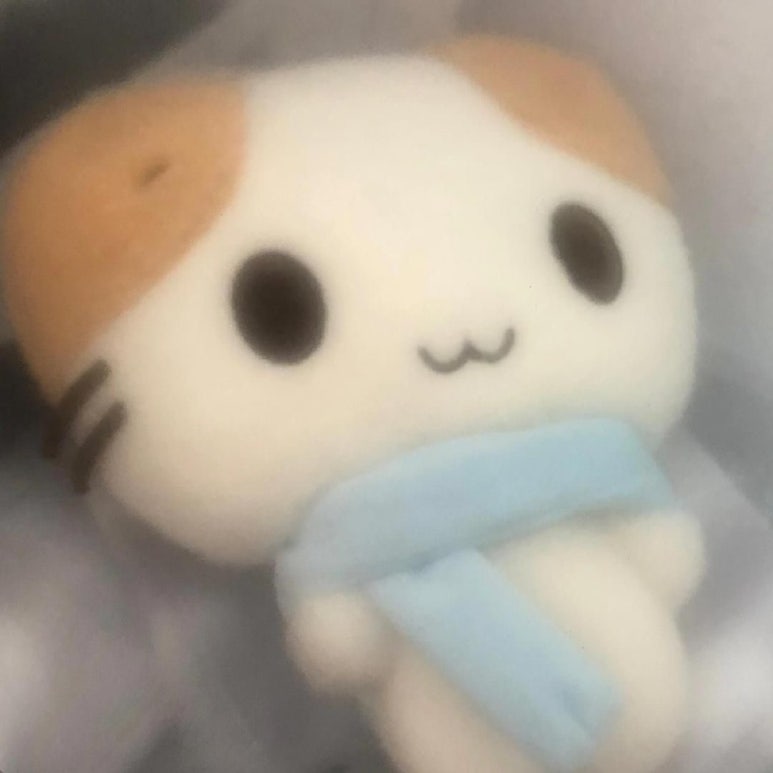 탄화와주 이미지