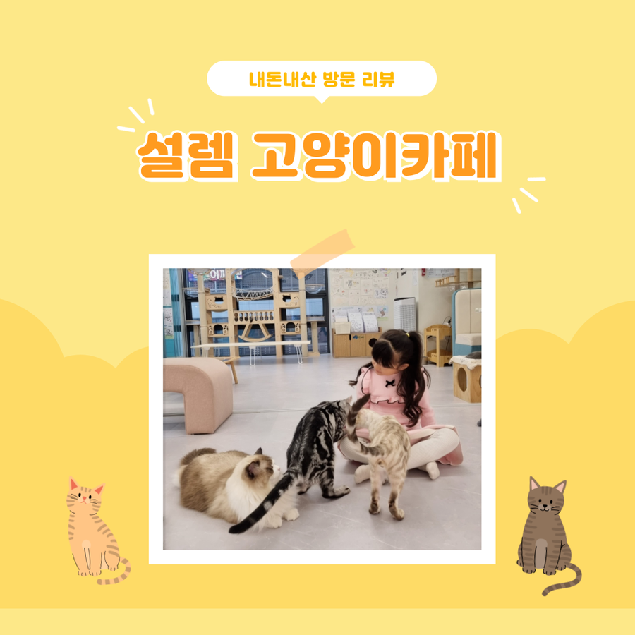 설렘고양이카페 이미지