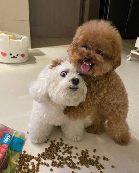 지금 이미지