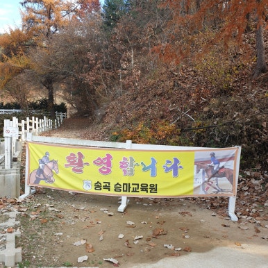 송곡승마교육원 이미지