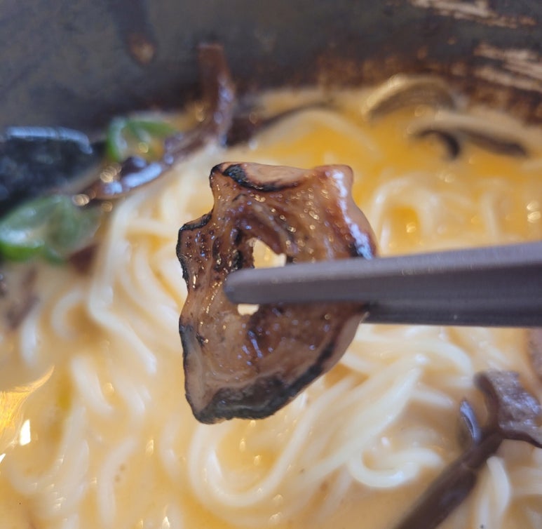엘리카츠 이미지