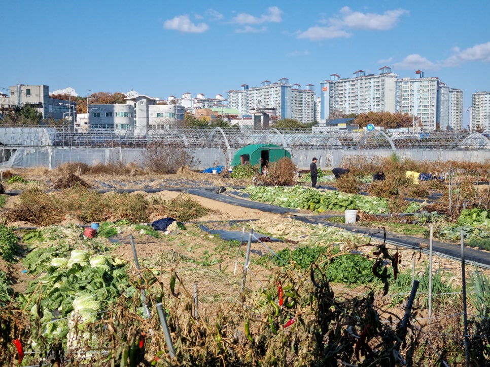 (주)지앤에이치바이오 이미지