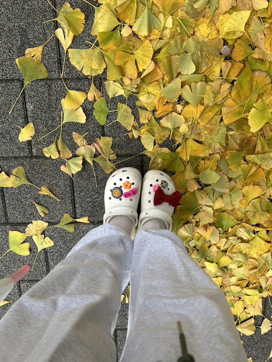 롯데관악크록스 이미지