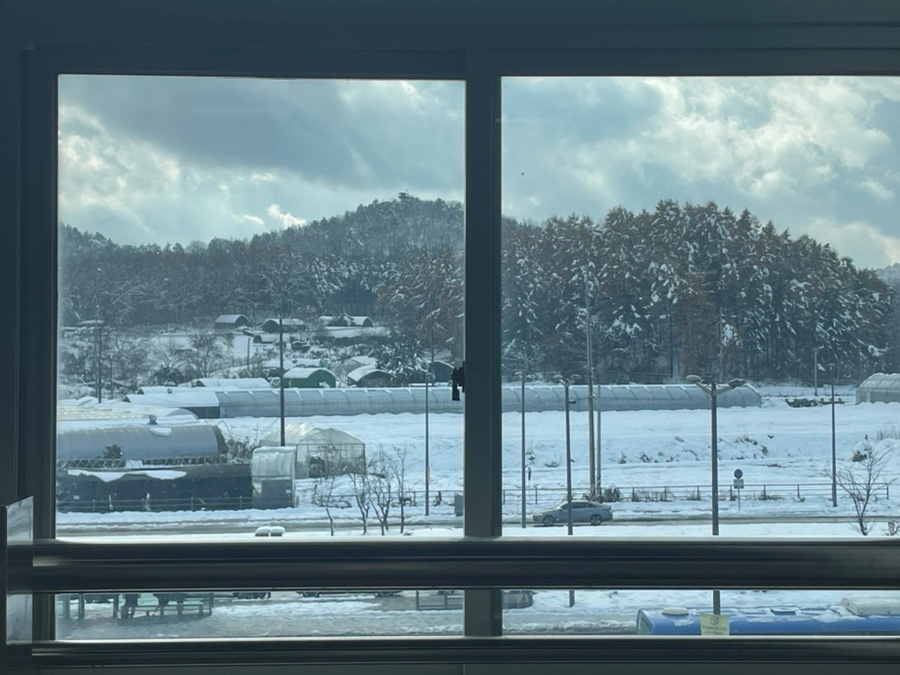 세임벌스 이미지