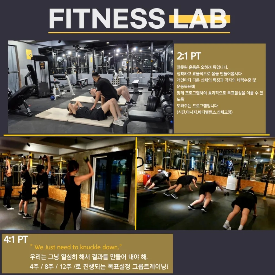 다이트랩 이미지