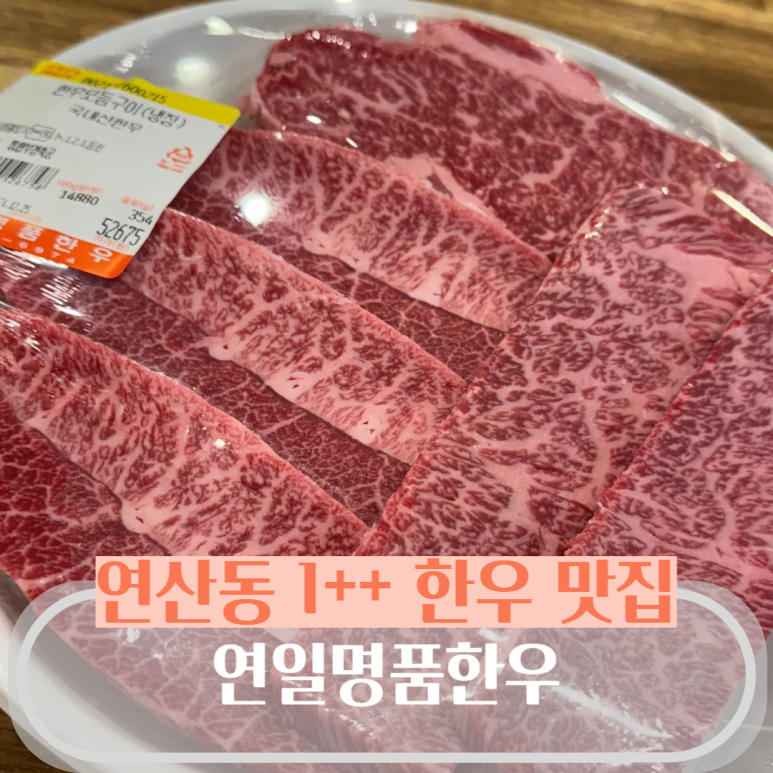 연일명품한우 이미지