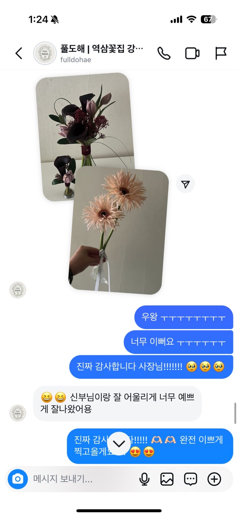 풀도해 이미지