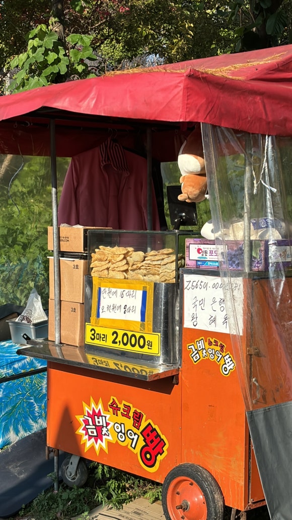 열매손만두분식 이미지