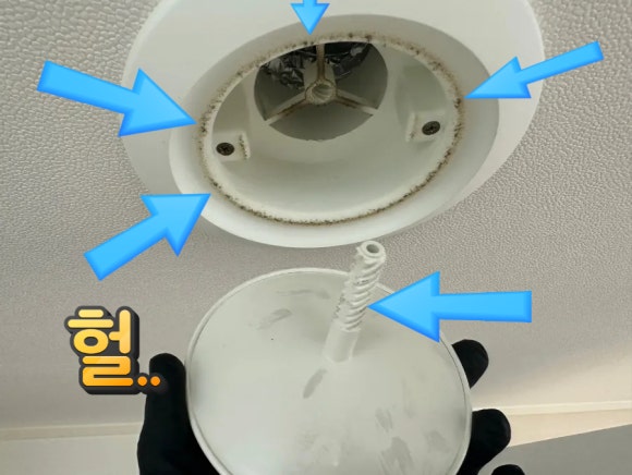 우리동네청소대장 이미지