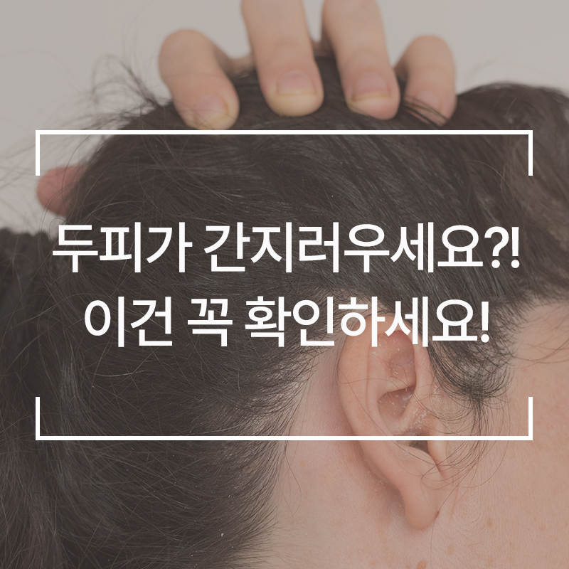 웰킨 이미지