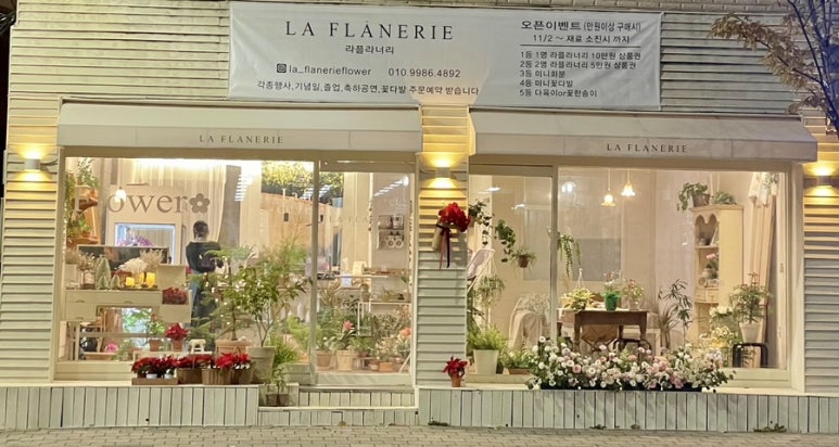 라플라너리 이미지