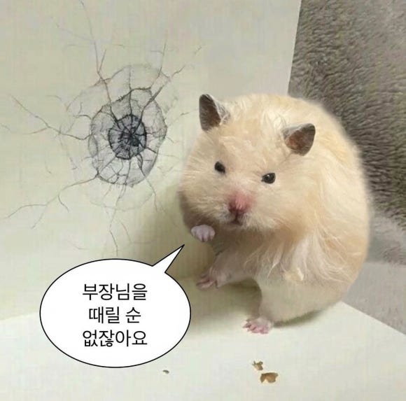 총총 이미지