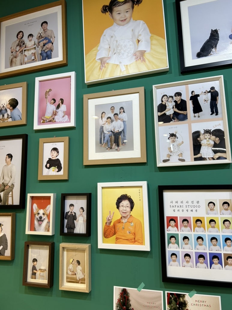 사파리사진관청주점 이미지