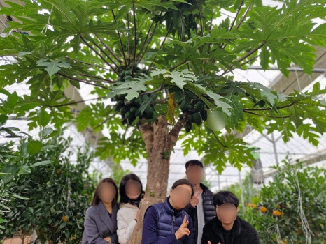 꿈에농장 이미지