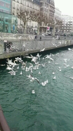 호구포한의원 이미지