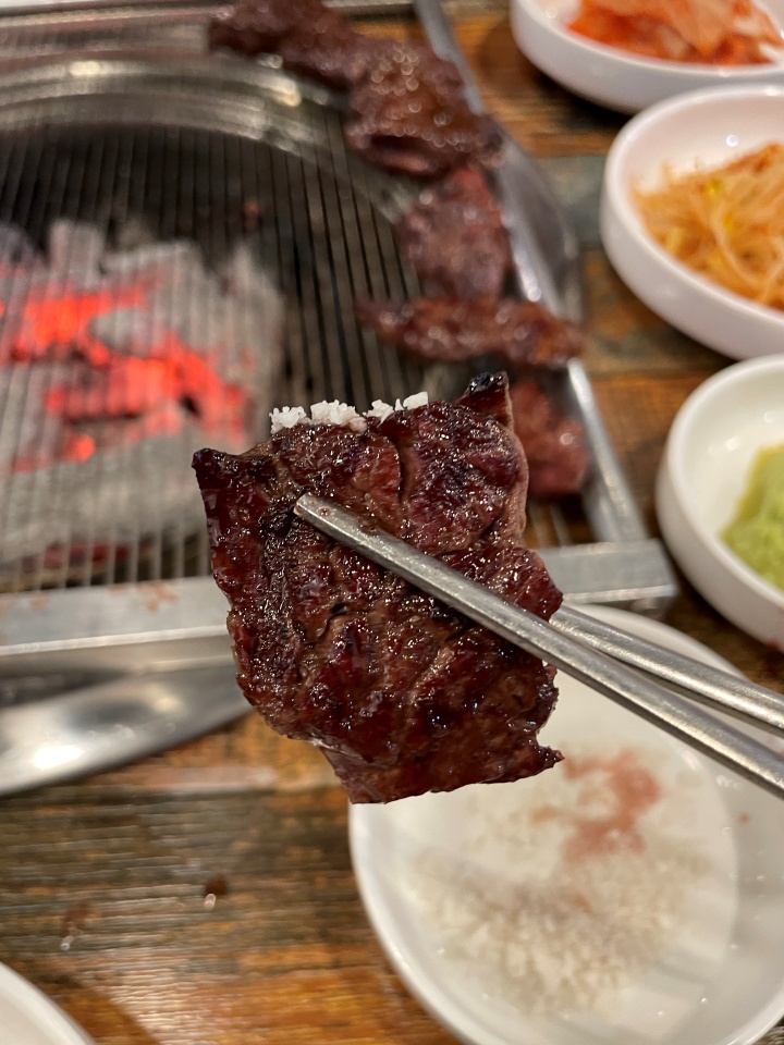 참토우 이미지