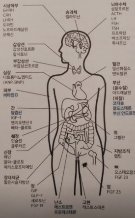 경혈테라피 이미지