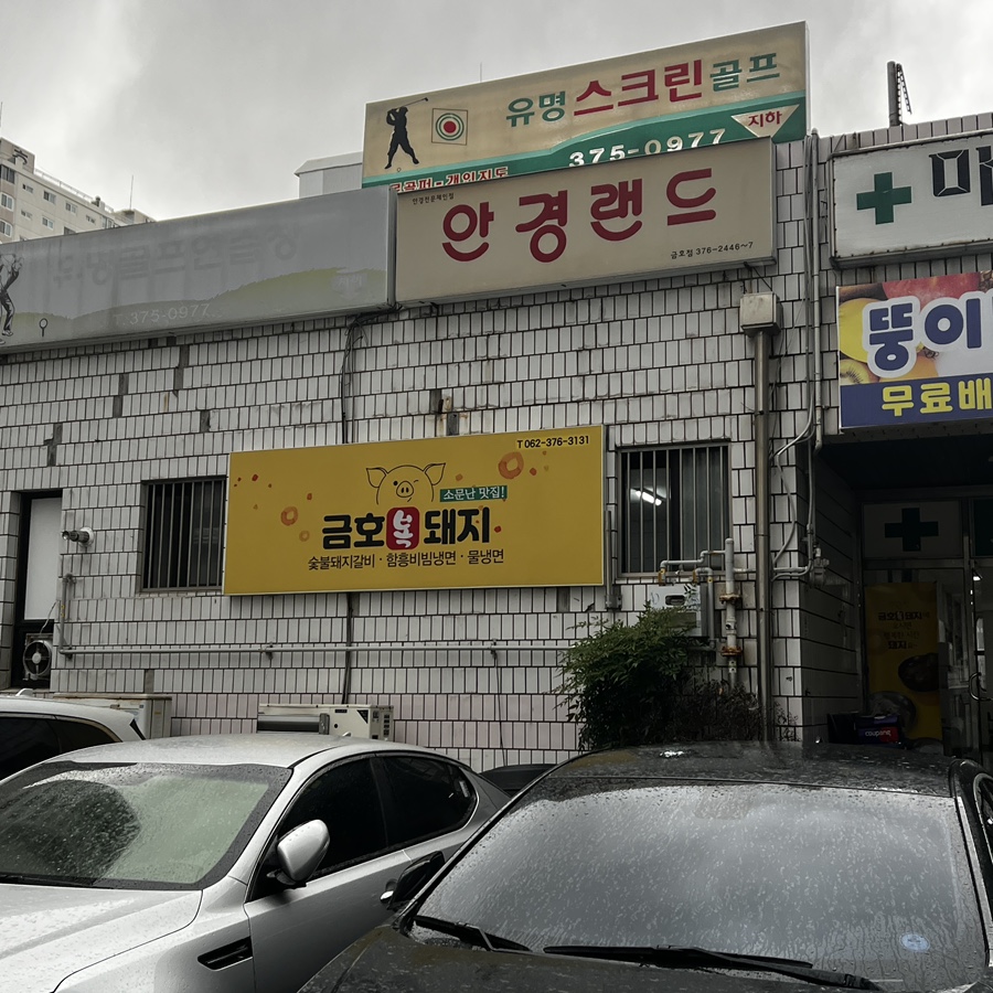 금호복돼지 이미지
