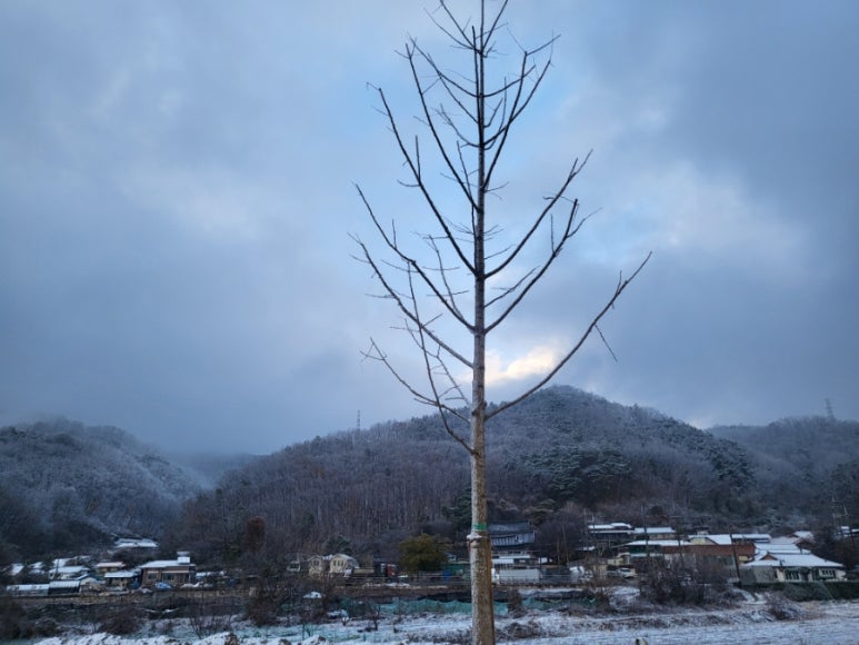 사단법인 한국내방가사보존회 이미지