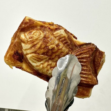 캔츄 이미지