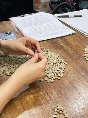 글로벌커피스쿨 이미지