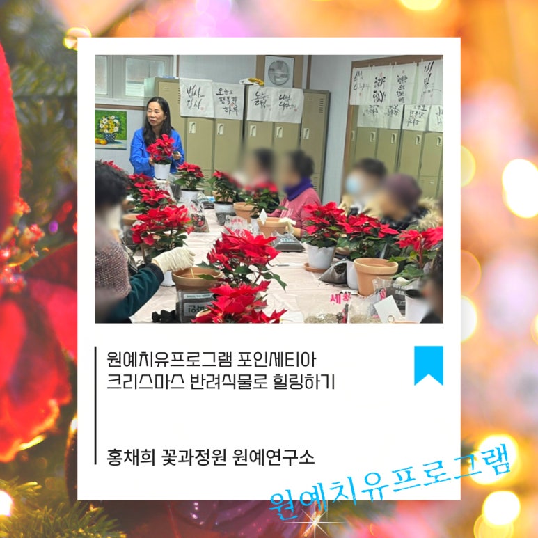 치유정원연구소 이미지