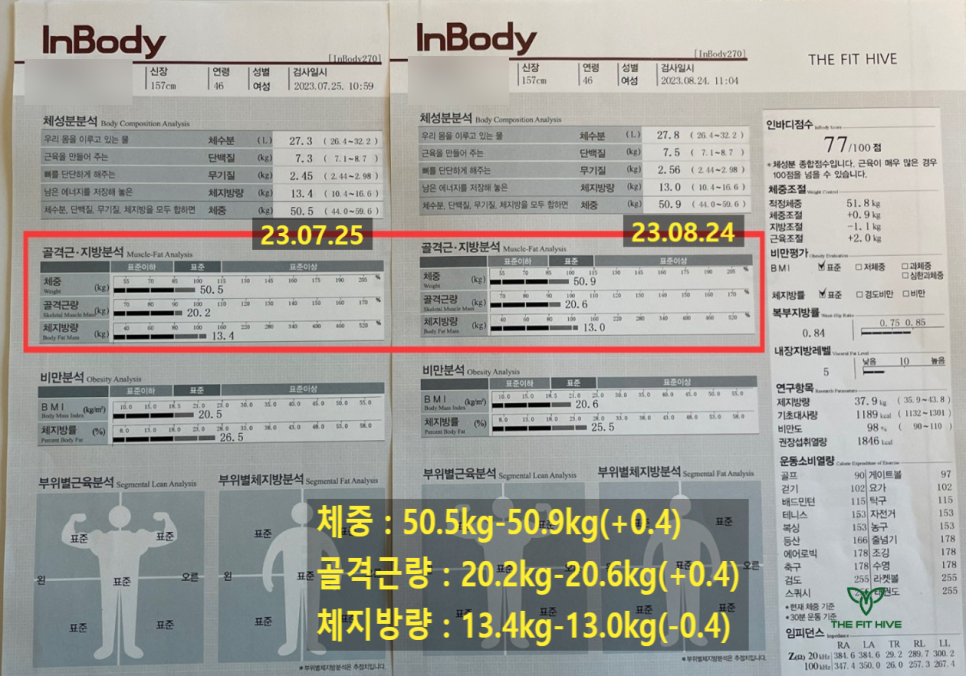 더핏하이브 이미지