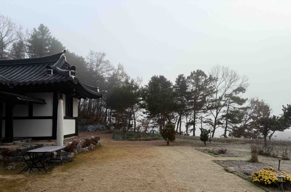 비내청명원 이미지