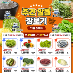 씹을수록 달달하다?! 배추의 청소년기! 알배기 배추 알아보기(+EVENT) 바로가기