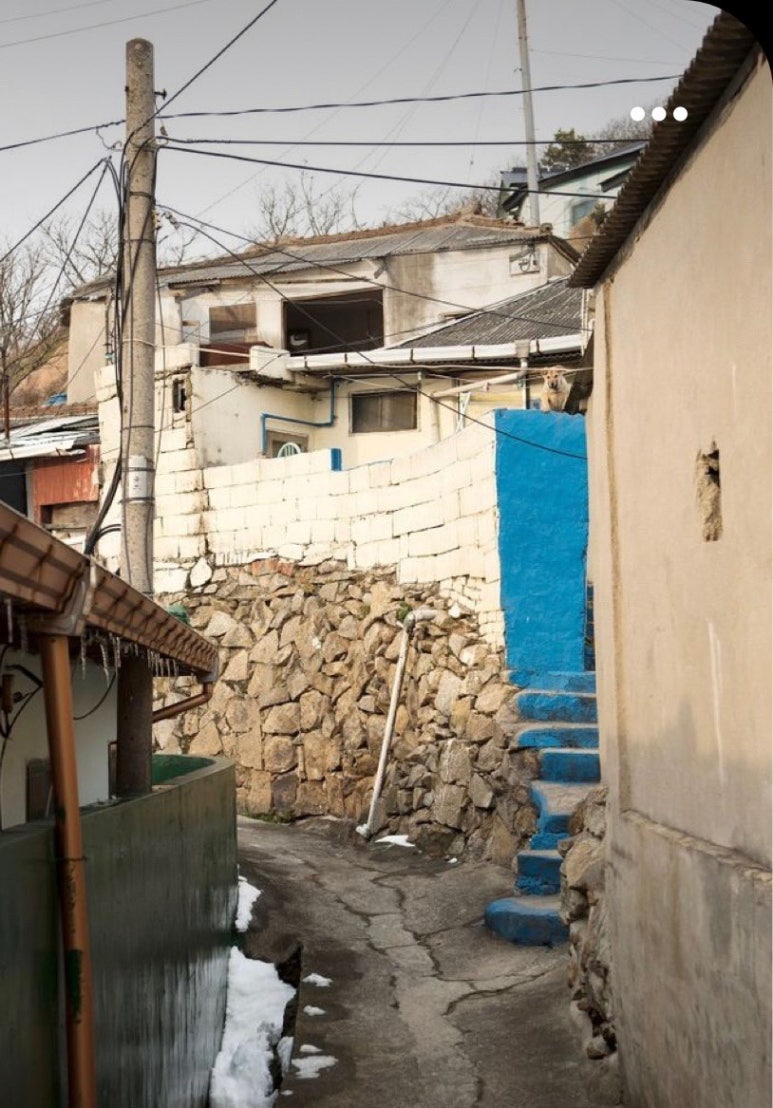 중구문화원 이미지